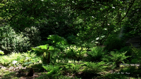 Bois des Moutiers (352) Mai 2012